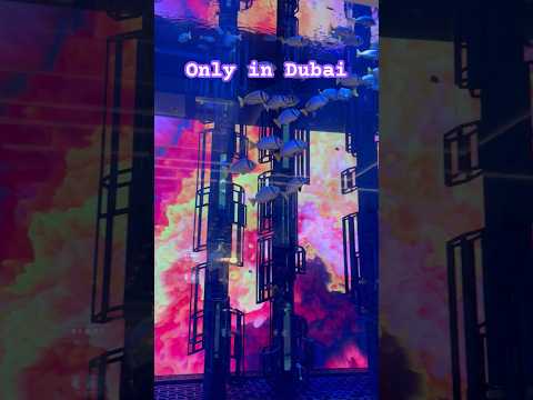 Dubai's best kept secret #travel #dubai #dubailife #dubaimall