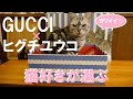 【グッチ】猫好きが選ぶGUCCI【ヒグチユウコ】商品紹介