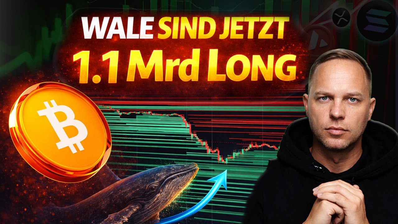 BTC WALE sind 1,1 MILLIARDEN Long! War das der lokale Bitcoin-Boden?