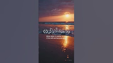 عبس وتولى أن جاءه الأعمى | الشيخ محمد أحمد حسن | رواية الإمام إدريس عن الإمام خلف العاشر | سورة عبس