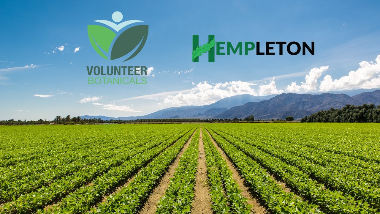 Volunteer Botanicals and Hempleton Investment Group Discussion