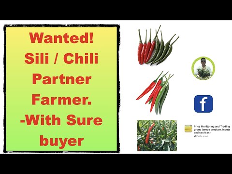 Video: Paano ako mag-order ng paghahatid ng Chili?