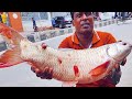 Fabulous Giant Mrigal Fish Cutting Skills In Fish Market | Carp Fish Cutting Live