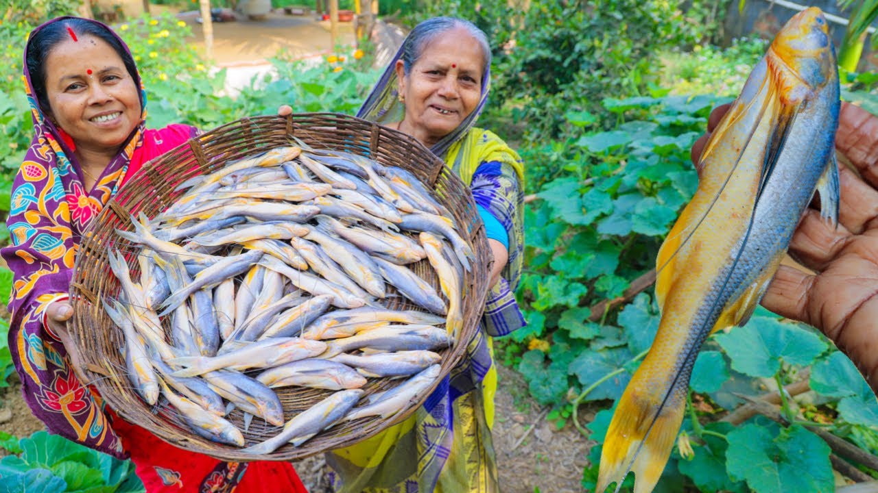 কালোজিরে দিয়ে তপসে মাছ রান্না তার সাথে ডালের বড়ি দিয়ে কচি লাউ রান্না |