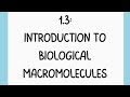 Biological Macromolecules: Structures, Bonds, and Reactions