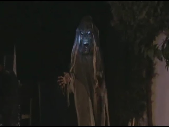 9' ATTACK CREEPER REAPER