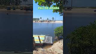 Passeio de pau de arara Pipa Sibauma