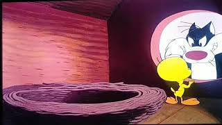 Tweety Bird Saw A Puddy Tat