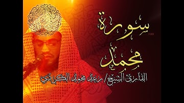 سورة محمد - القارئ الشيخ رعد محمد الكردي