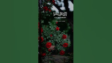 إن الله وملائكته يصلون على النبي  #سورة_الأحزاب🌹مقاطع دينية قصيرة أجمل صوت❣#تلاوات_خاشعة