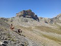 Rando  cheval alpes france italie aout 2022 equigrimpe