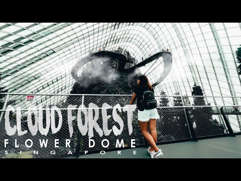 CLOUD FOREST AND FLOWER DOME SINGAPORE // A Domed Mountain Realm and Beyond Flora and Fauna