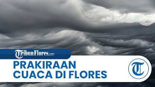 Prakiraan Cuaca di Flores Kamis 18 Desember 2025, Waspada Hujan Sedang hingga Petir