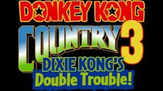 Water World - Donkey Kong Country 3: Dixie Kong's Double Trouble! (SNES) Music Extended