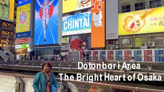 JAPAN | OSAKA Castle and Dotonbori by Night ♦️ 日本大阪城和道頓堀之夜 ♦️NHẬT BẢN Lâu đài Osaka và Osaka về đêm