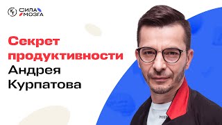 Как всё успевать? Андрей Курпатов про продуктивность