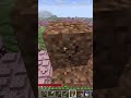 #minecraft