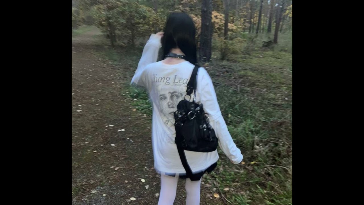 *free* diaryplugg + emoplugg + sad pluggnb type beat 