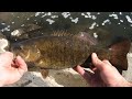 Chunky spring small mouth on a spinnerbait