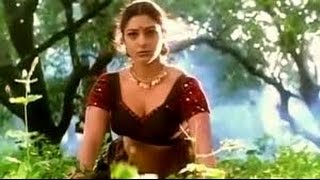Actress Saree Unseen Hot Videos Most Watch 3