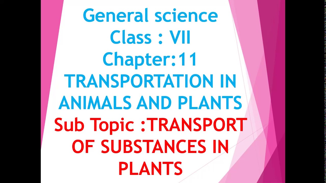 Class 7 Chapter 11 Transportation in Animals and Plants Part 4 - YouTube