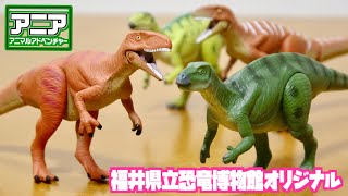 ついにゲット出来ました!アニア 福井県立博物館オリジナルモデル フクイサウルス フクイラプトル