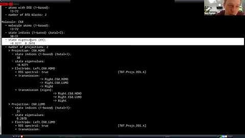 Advanced School on Quantum Transport Using SIESTA -  Walk through projection