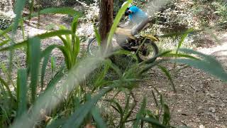 mi riavvicino al trial con la mia swm 1982