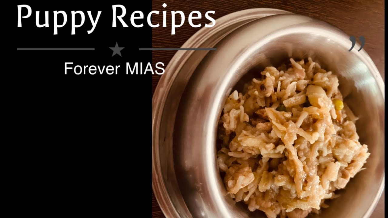 Easy Dog recipes.. Recipes for ShihTzu.. Cooking with love for our furry family 