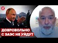 ⚡️ШЕЙТЕЛЬМАН: рф не удалось перетащить МАГАТЭ на свою сторону, путин запугивает