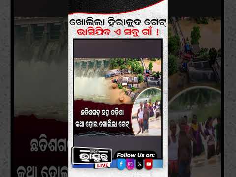 ଖୋଲିଲା ହୀରାକୁଦ ଗେଟ୍... #shortsvideo #ytshorts #odishanews #odishabhaskar