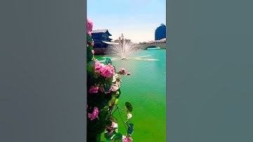 779* ماتيسر من سورة فاطر # محمد أيوب رحمه الله #