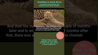 Highlights: Rewilding in South Africa: A Journey of Conservation and Inspiration with Sarah Tompkins