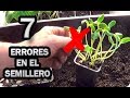 7 fallos comunes en los semilleros