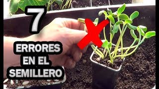 7 Errores Que Todos Cometimos Preparando Semilleros  Solución || La Huertina De Toni