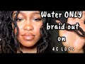 Water only braid out on locs: Defined in 6hrs.
