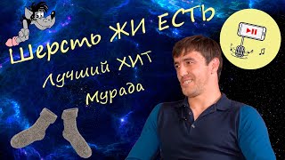 Мурад и такси - Шерсть ЖИ ЕСТЬ - Scooter cover