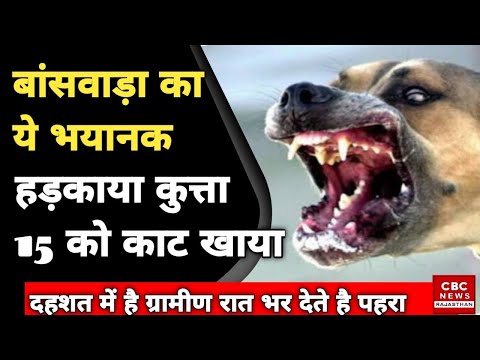 वीडियो: कुत्ते ने हमला किया तो