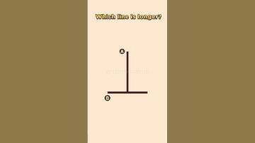 Vertical–horizontal Line illusion ! #shorts