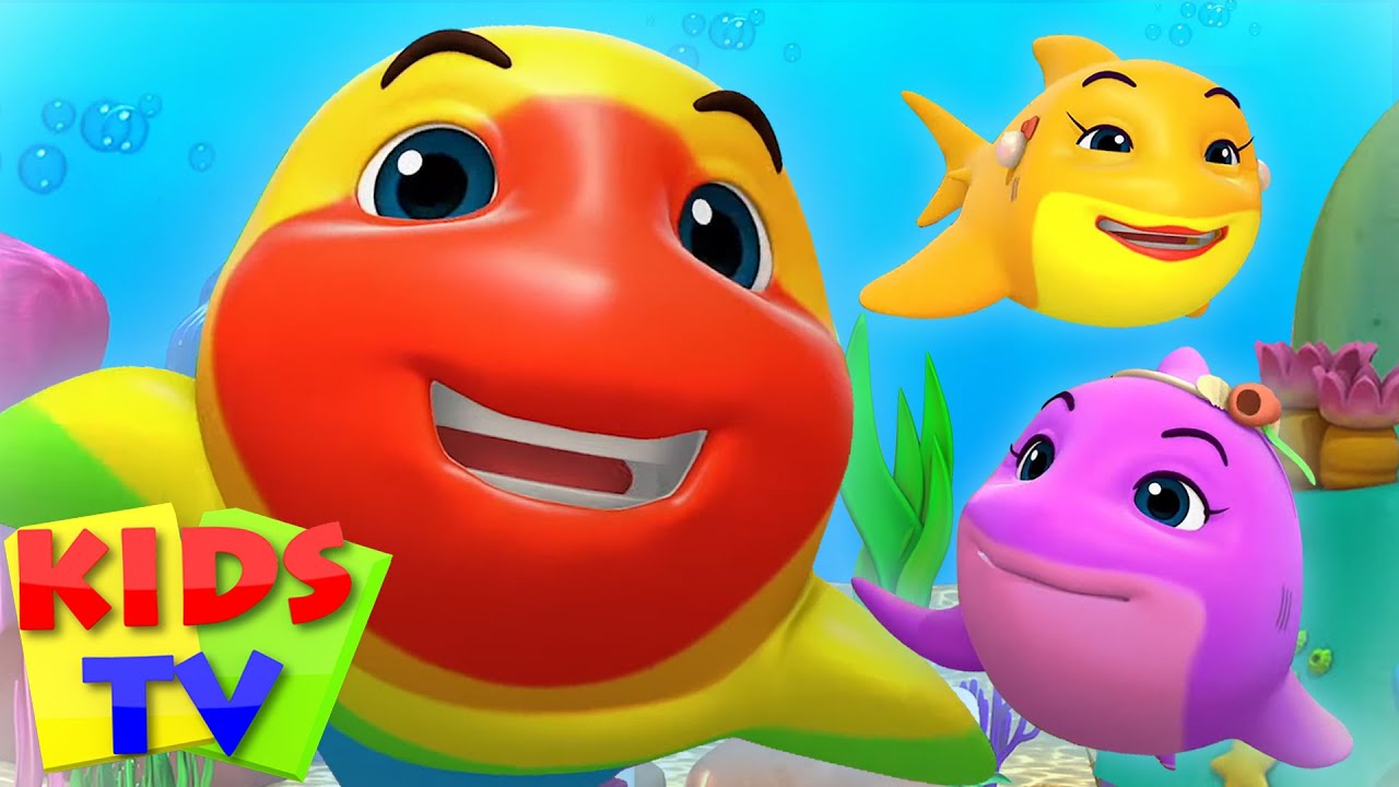 Baby Shark Song | Children's Music & Nursery Rhymes | Loco Nuts Cartoon | Kids Tv