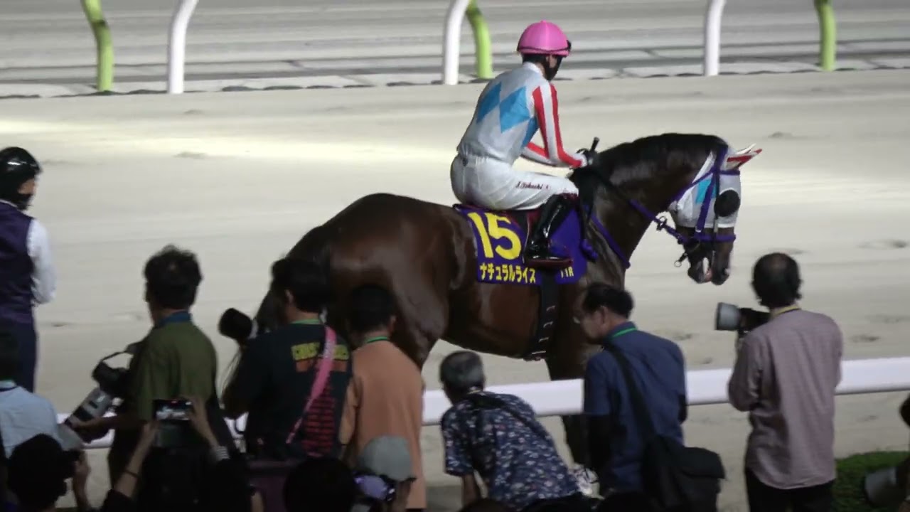 ジャパンダートクラシック2025】本馬場入場 現地映像 ⑤ナルカミ - YouTube