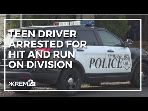 Teenage driver arrested for hit and run involving mother and two ...