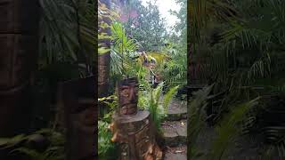 Her green 💚  island 🏝  paradise 🌴  in Canada 🇨🇦