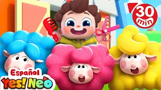 Bee Bee Oveja Negra | Yes! Neo | Canciones Infantiles | BabyBus en Español