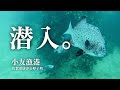 【小友漁港・海中映像】釣れない？そんな事はない！豊かな海が広がる釣り場、小友漁港を探索！佐賀県唐津市呼子町の釣り場#221福岡釣部 in 福岡・糸島・佐賀・北九州・玄界灘・長崎・平戸・鷹島・唐津・呼子