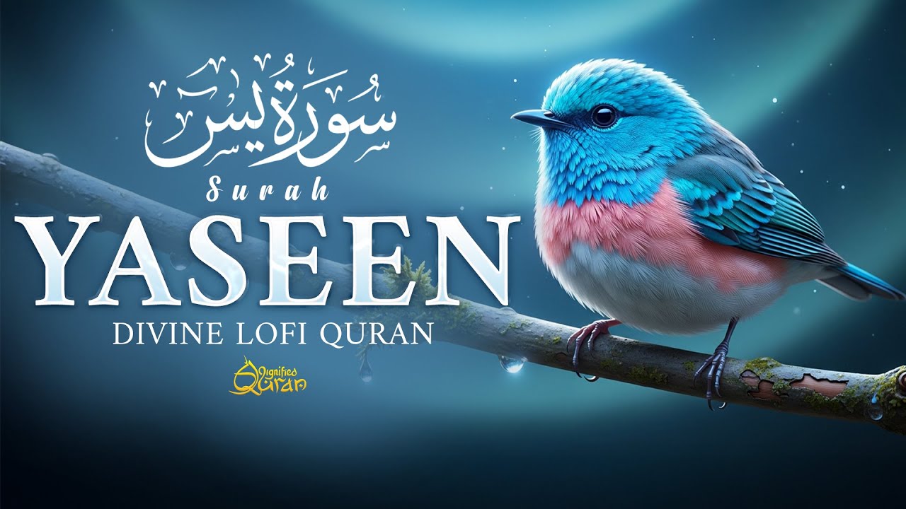 Surah Yaseen سورة يس | Soothing Quran Recitation for Anxiety & Inner Peace | Dignified Quran 
