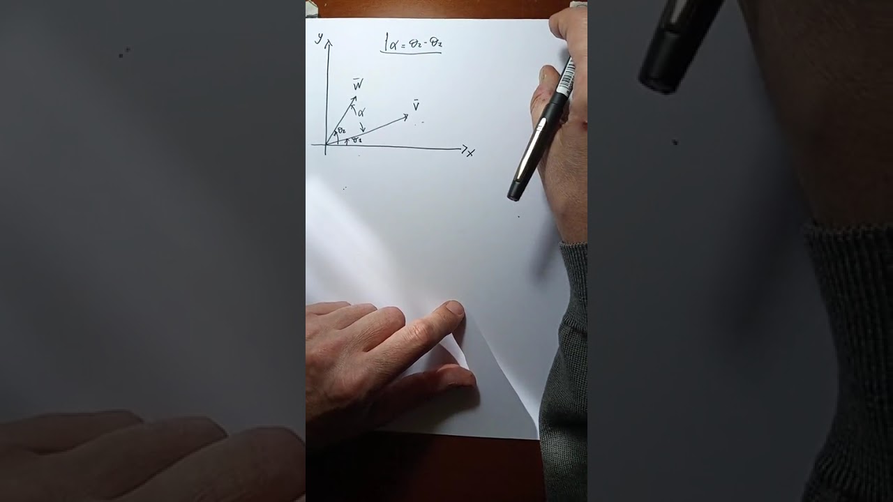 Prodotto scalare e vettoriale tra vettori