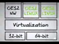 Virtualizing Open Enterprise Server 2 Services