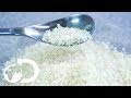 SUGAR  How It's Made - YouTube