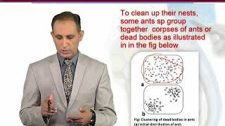 BIF602_Topic003